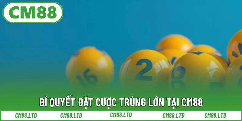 Bí quyết đặt cược trúng lớn tại CM88