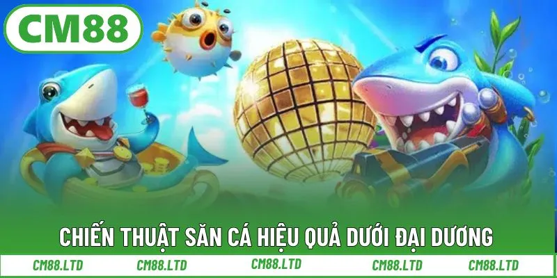 Chiến thuật săn cá hiệu quả dưới đại dương