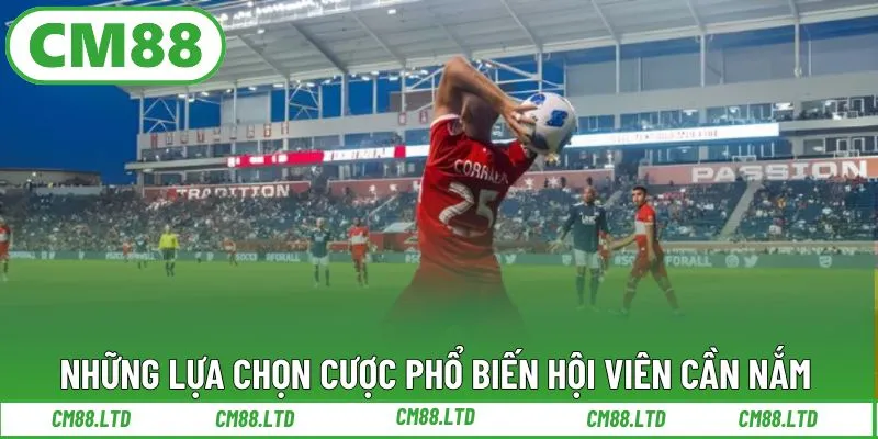 Những lựa chọn cược phổ biến hội viên cần nắm